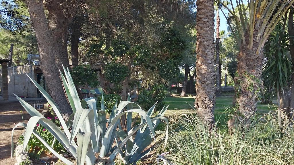 Tenuta Terenzano Torre San Giovanni Ugento Eksteriør bilde
