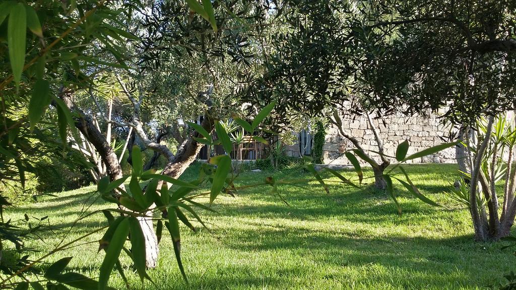 Tenuta Terenzano Torre San Giovanni Ugento Eksteriør bilde