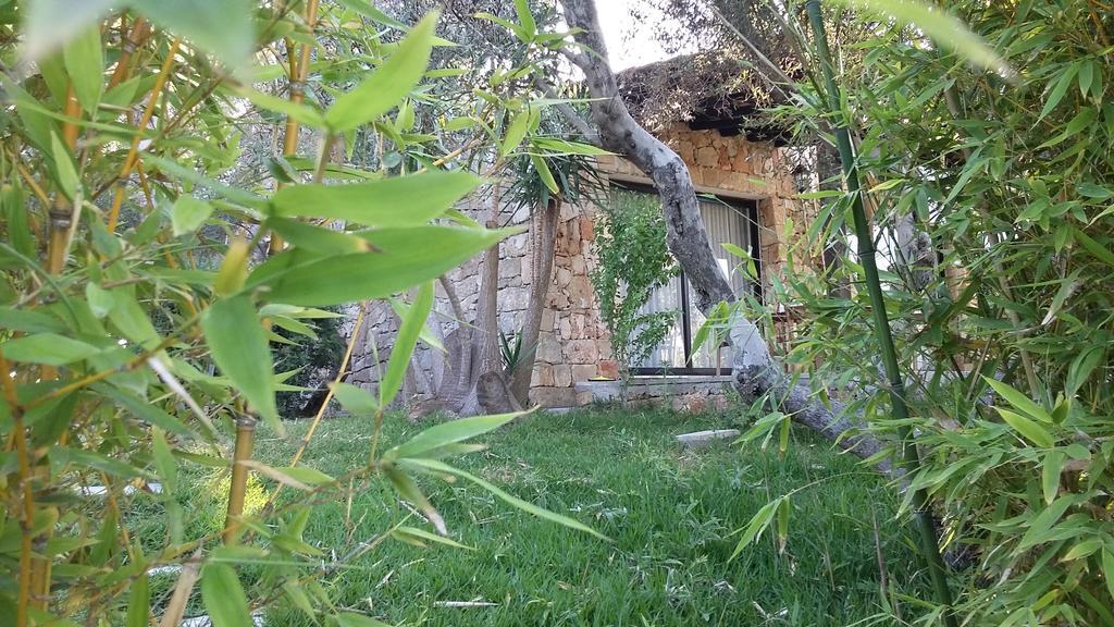 Tenuta Terenzano Torre San Giovanni Ugento Eksteriør bilde